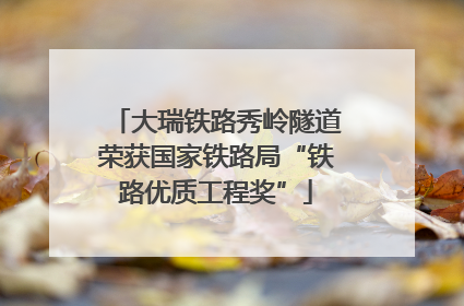 大瑞铁路秀岭隧道荣获国家铁路局“铁路优质工程奖”
